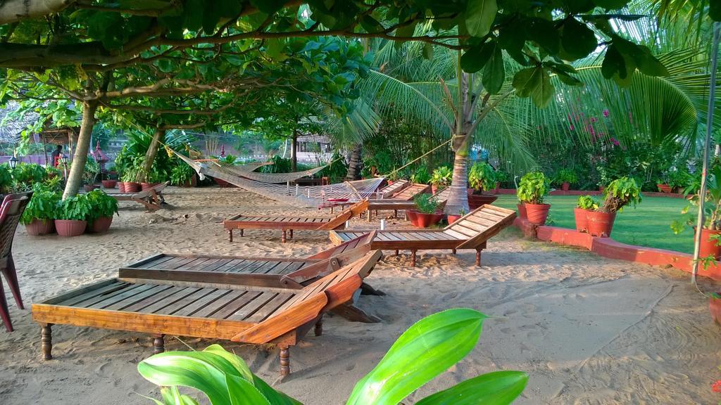 Отель Palm Tree Anex Варкала Экстерьер фото